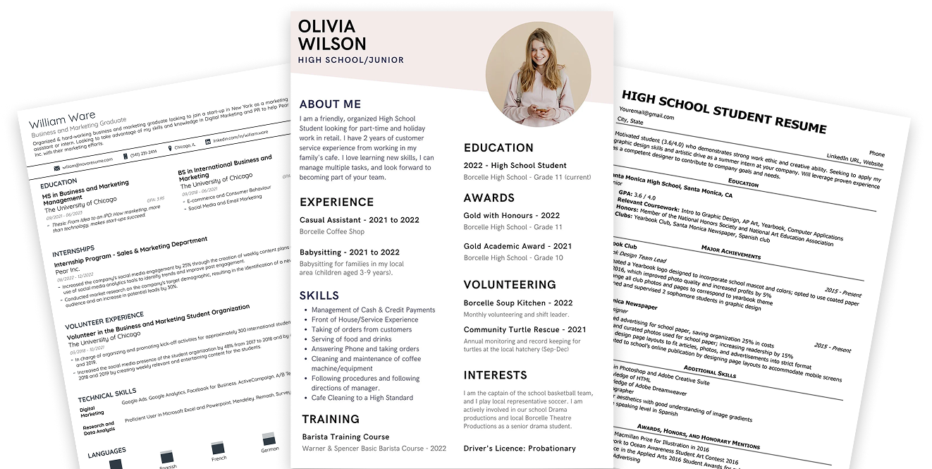 Resume Preview
